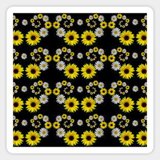 sunflower daisy flower blooming sunflowers daisies blooms Magnet